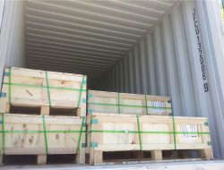 Գործարանային տեսք