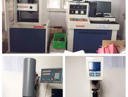 Գործարանային տեսք