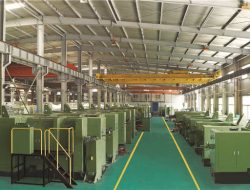 Գործարանային տեսք