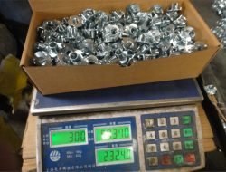 Գործարանային տեսք