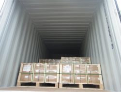 Գործարանային տեսք