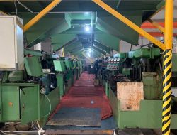 Գործարանային տեսք