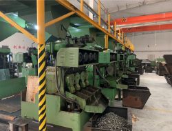 Գործարանային տեսք